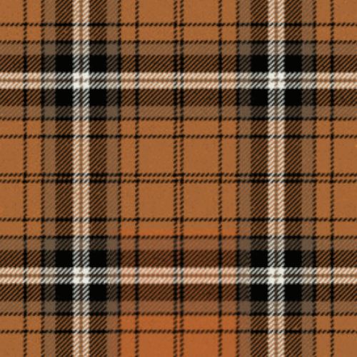Campbell of Braemar Tartan swatch