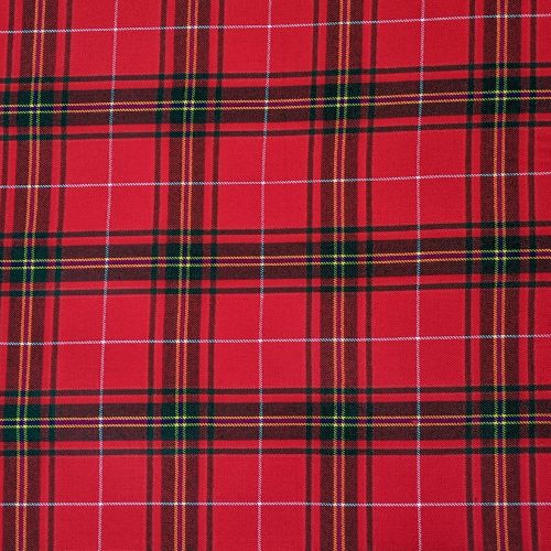 Carruthers Tartan (Limited) swatch