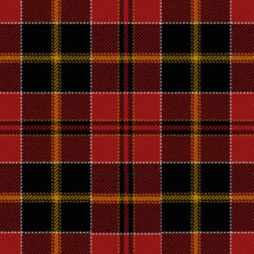 MacAlister of Skye Tartan swatch