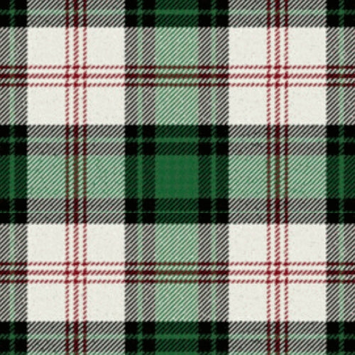 Ross Old Tartan T-Shirt main image 1