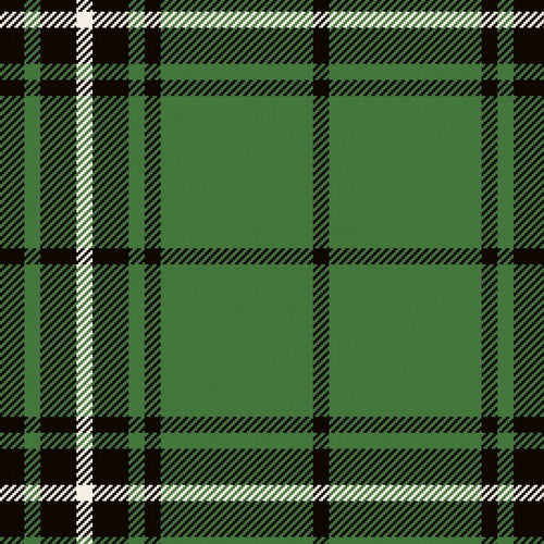 MacLean Of Duart Hunting Muted Tartan swatch