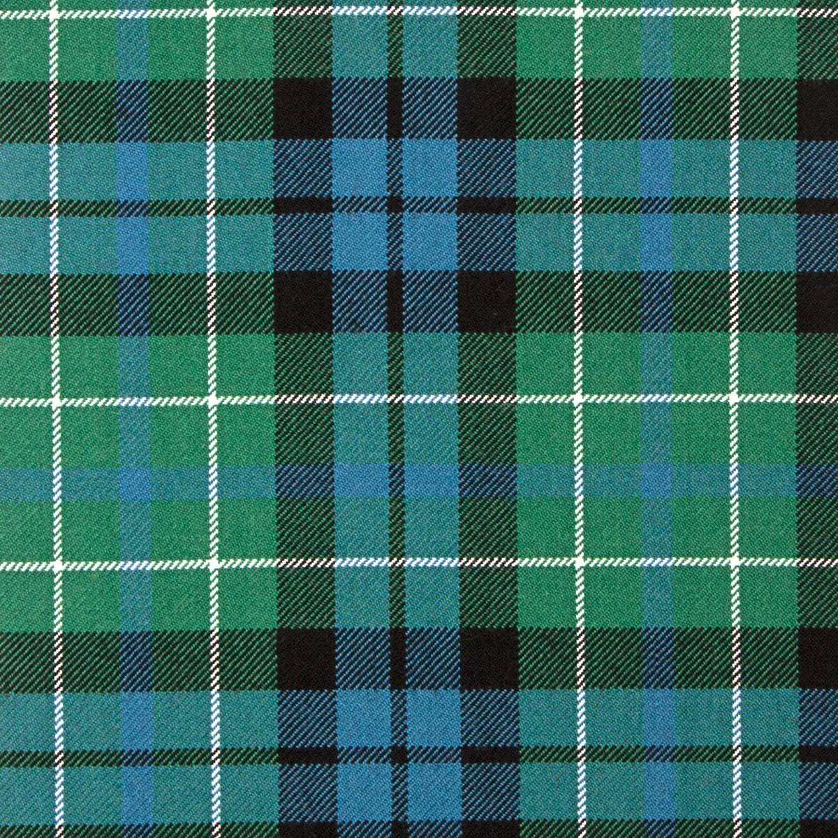 MacNeill of Colonsay Ancient Tartan Flared Skirt main image 0