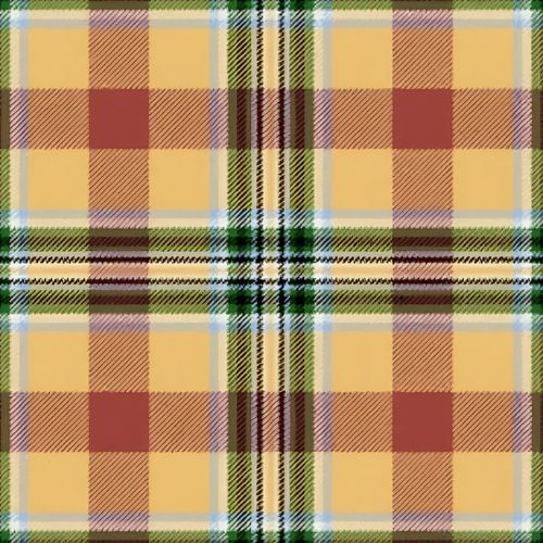 Aguilar Gorrondona tartan swatch