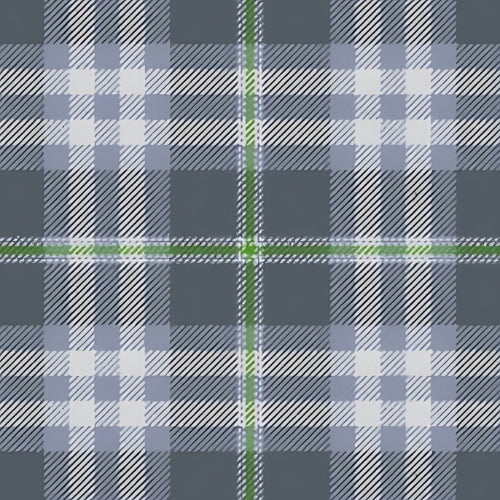 Ailsa Grey Tartan