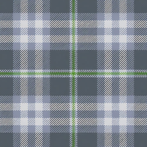 Ailsa Grey tartan swatch