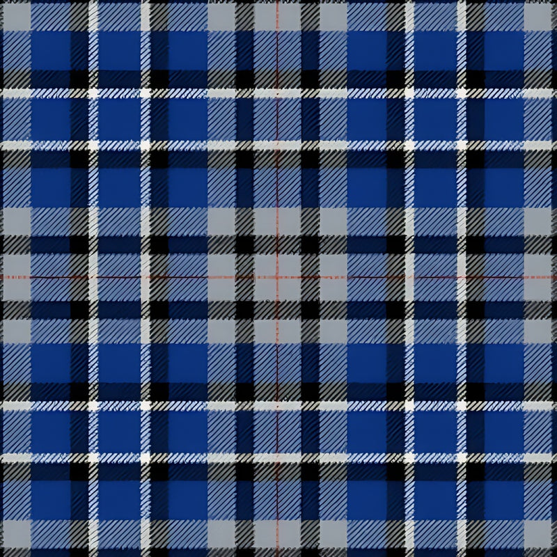 Akintiev tartan swatch