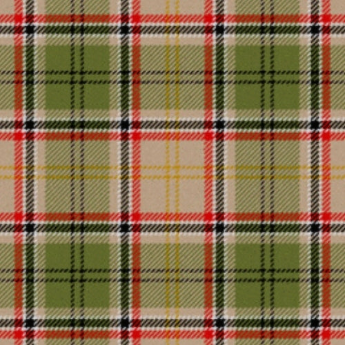 Asman Day Tan tartan swatch
