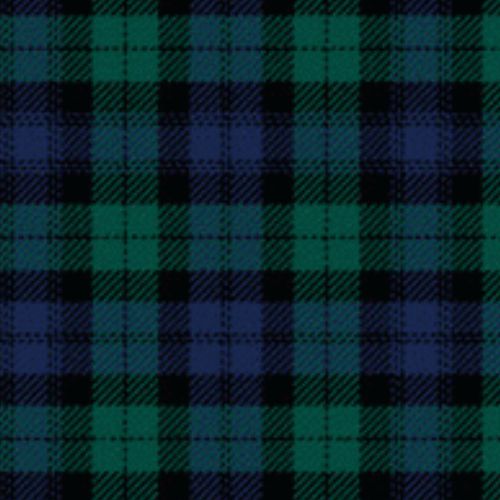 Black Watch Large Sett tartan swatch