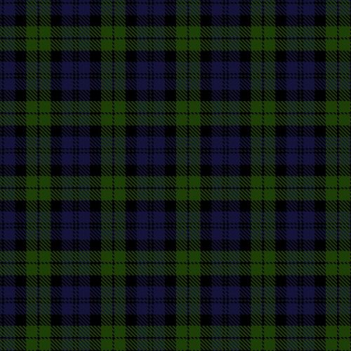 Black Watch Small sett tartan swatch