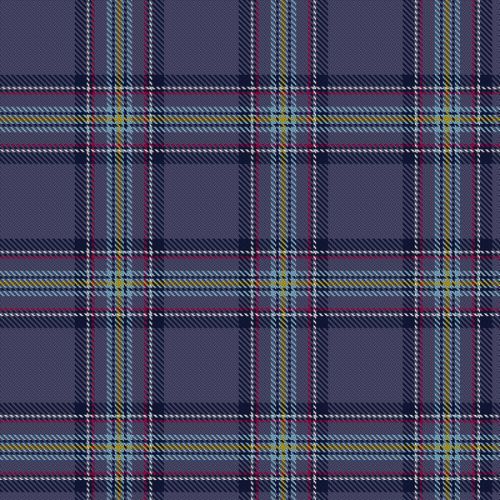 Blue Toon tartan swatch