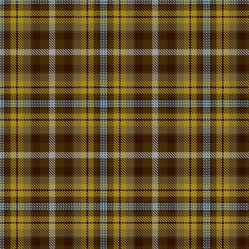 Bonnie Prince Charlie tartan swatch
