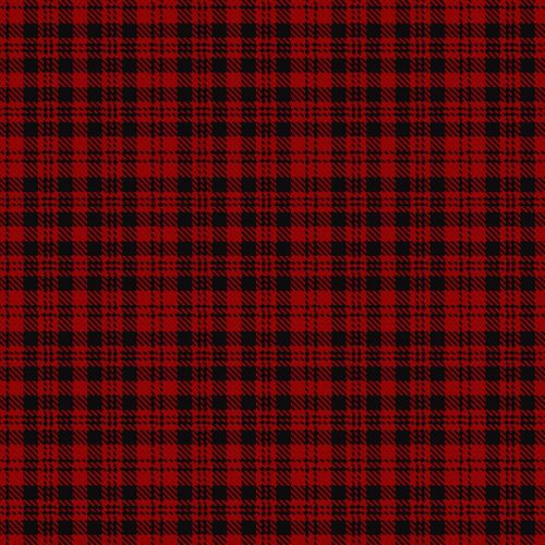 Border Reiver tartan swatch