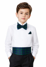 Royal Stewart Boy's Tartan Cummerbund