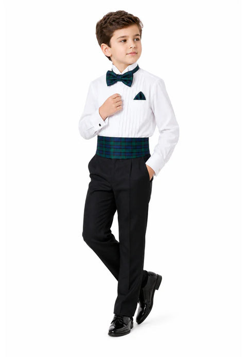 Robertson Tartan Cummerbund