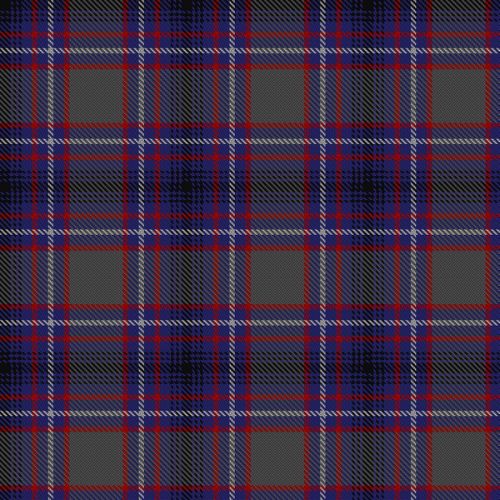 Broz Sanz Elementary School tartan swatch
