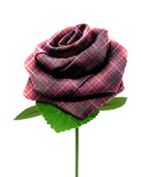 Bruce Tartan Stem Rose