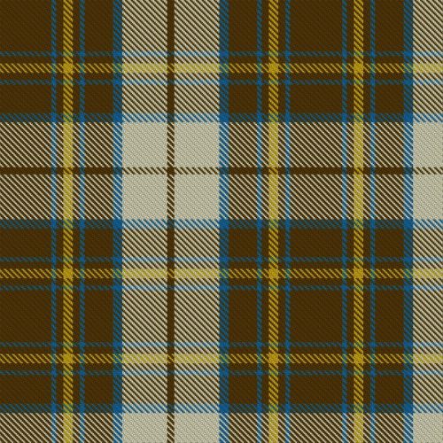 Burns Battalion Tartan