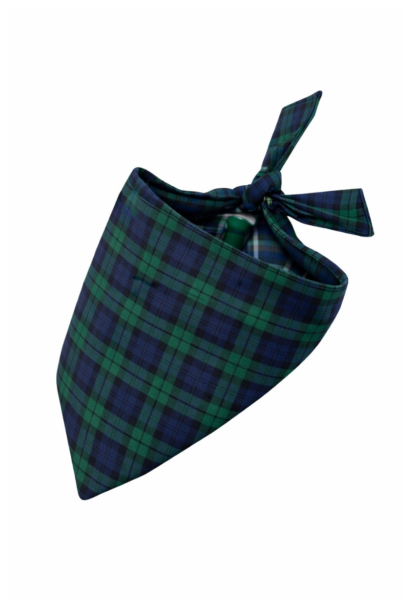 Campbell Tartan Dog Bandana