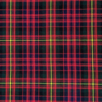 Carnegie tartan swatch