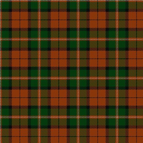 Celtic Combat tartan swatch