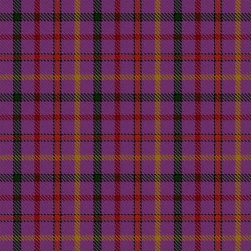 Child The tartan swatch