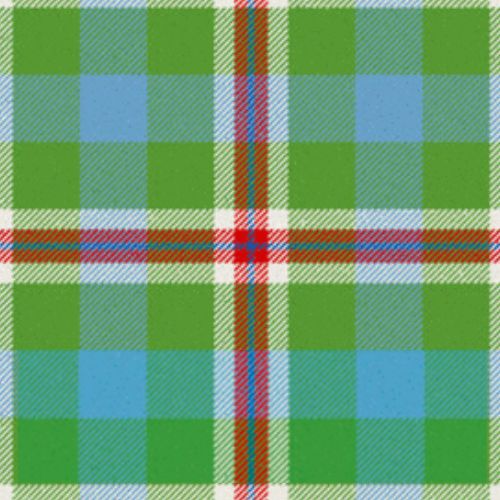Chubbs L & S tartan swatch