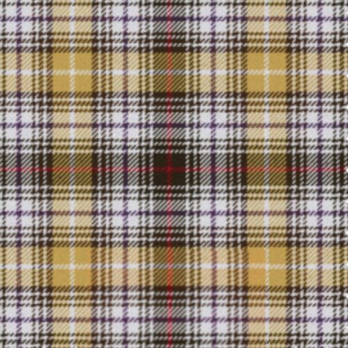 Clanedin Commemorative Ancient Tartan