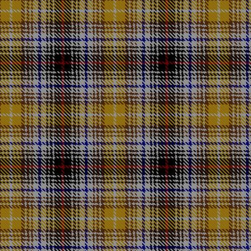 Clanedin Commemorative Tartan