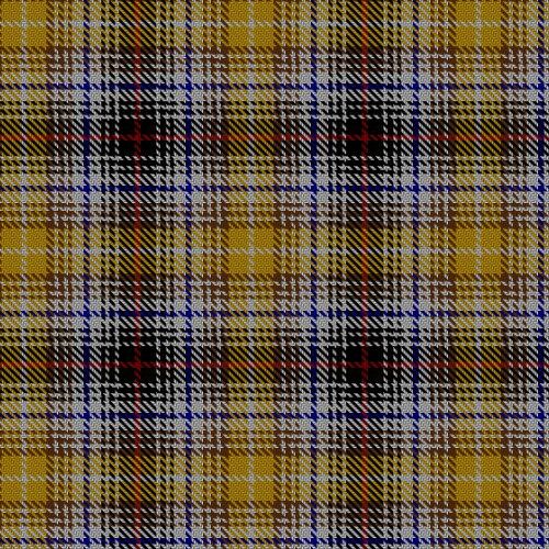 Clanedin Commemorative tartan swatch
