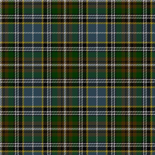Clodagh tartan swatch
