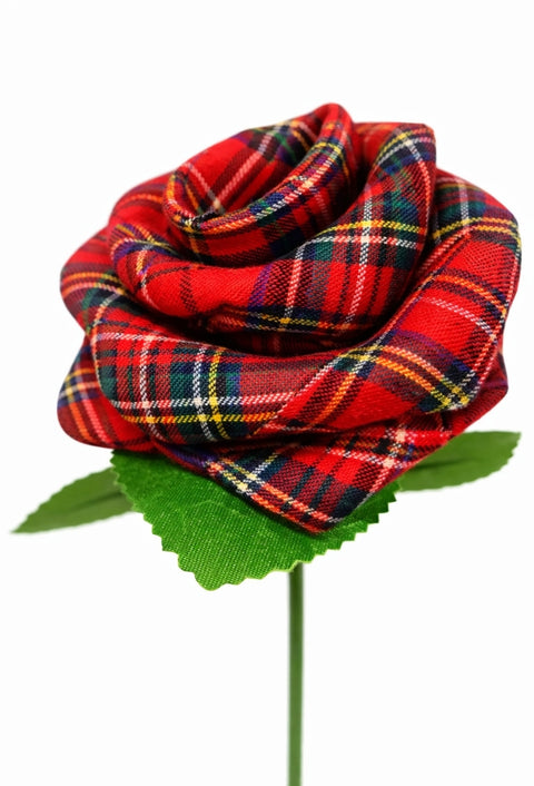Royal Stewart Tartan Stem Rose