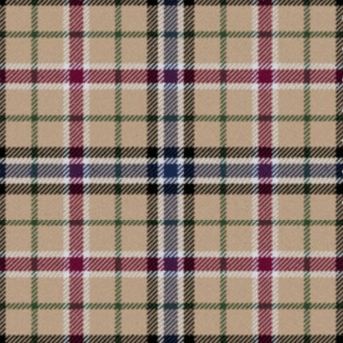 Desang tartan swatch