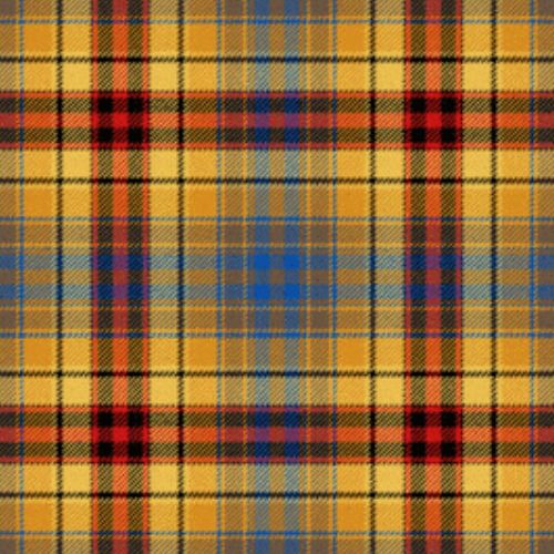 Du Lion tartan swatch