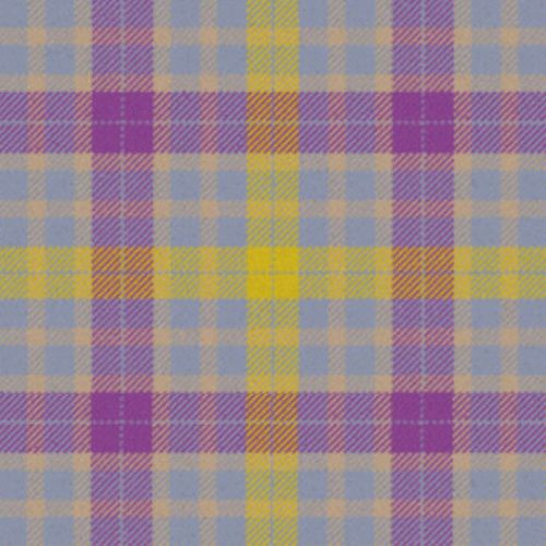 Froach's Grian tartan swatch