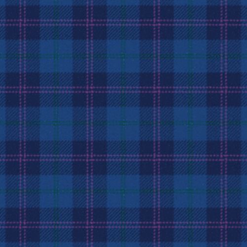 Gravesend Grammar School tartan swatch