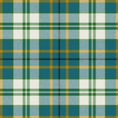 Hector The Ship Ancient tartan swatch