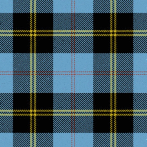 Intergen tartan swatch