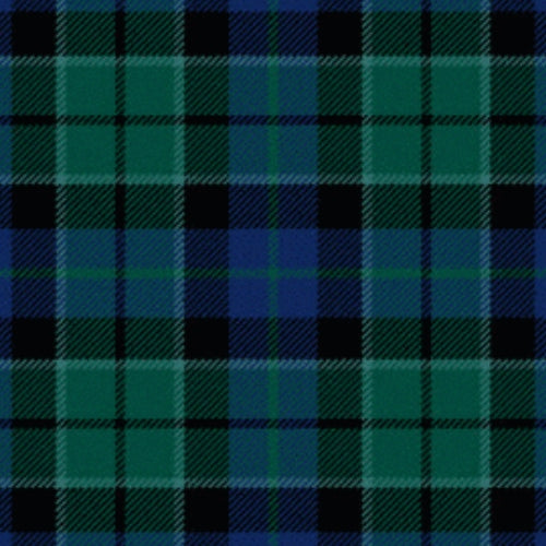 Lennie tartan swatch