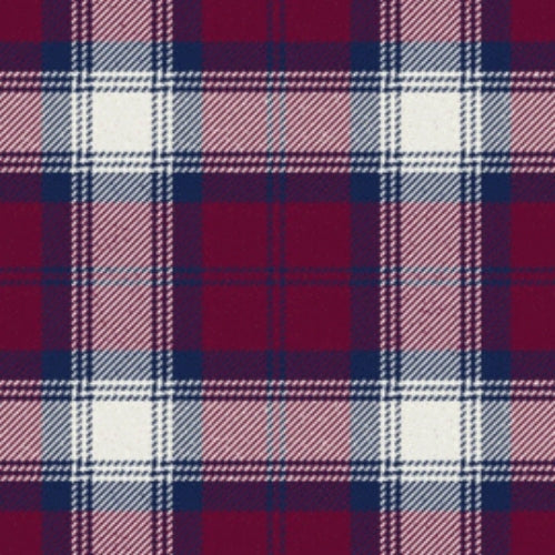 Lindsay Dress Dance Tartan swatch
