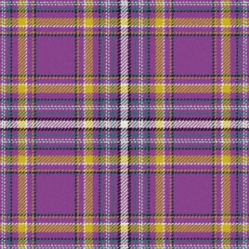 Lions tartan swatch