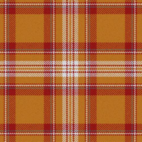 Nevis Dress tartan swatch