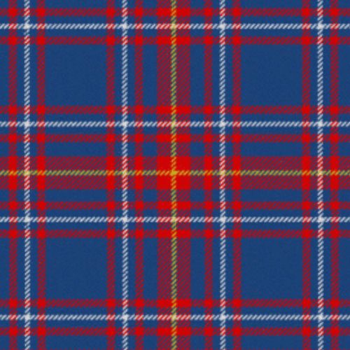 Newton Primary School tartan swatch
