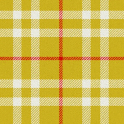 One Account tartan swatch