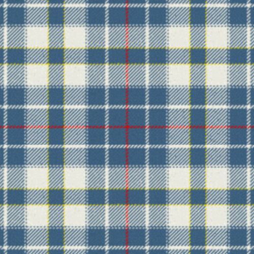 Orlando City Dress tartan swatch