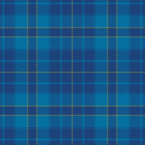 Orlando Police Department Tartan