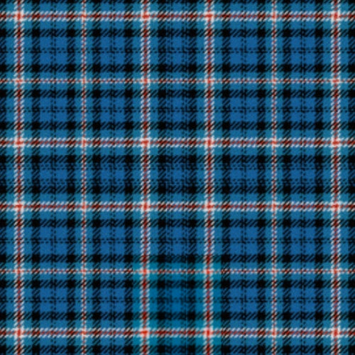 Palatine Union Ancient tartan swatch
