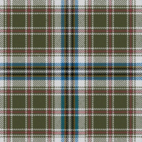 PalmerGeneralW.JAncientTartan