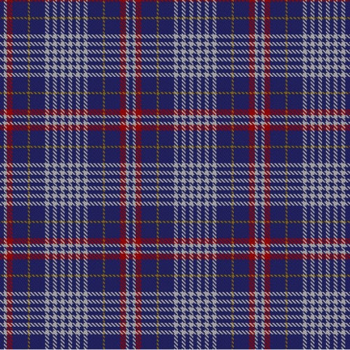 Parker Dress USA tartan swatch