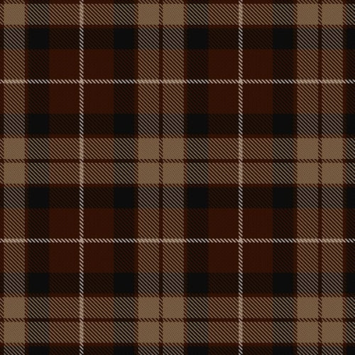 Portrait The tartan swatch