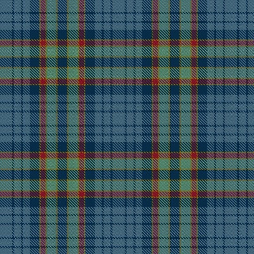 Ralston Tartan Bow Tie main image 0